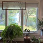 How Professional Window Installation Protects Your Home in Warren, MI